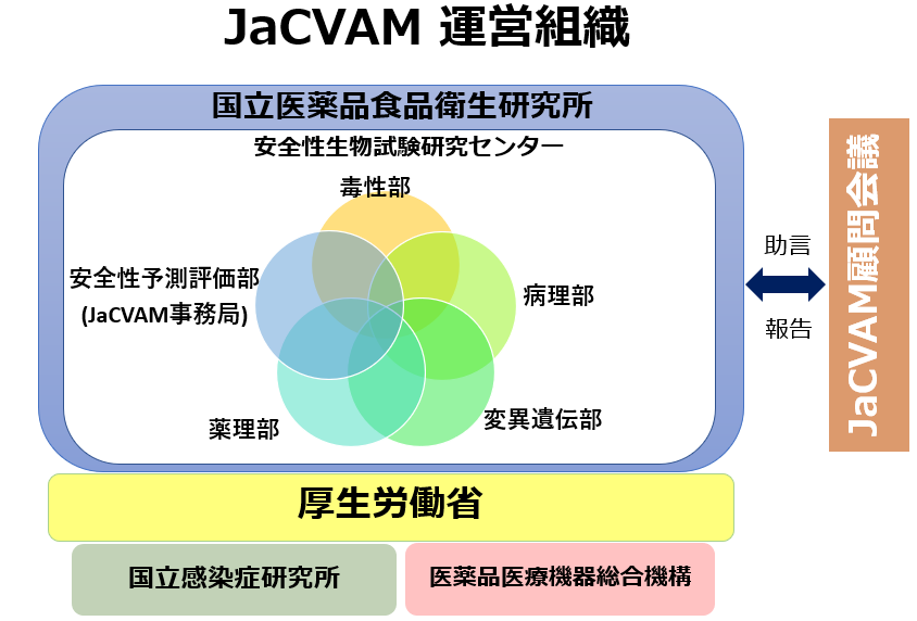 JaCVAM運営組織