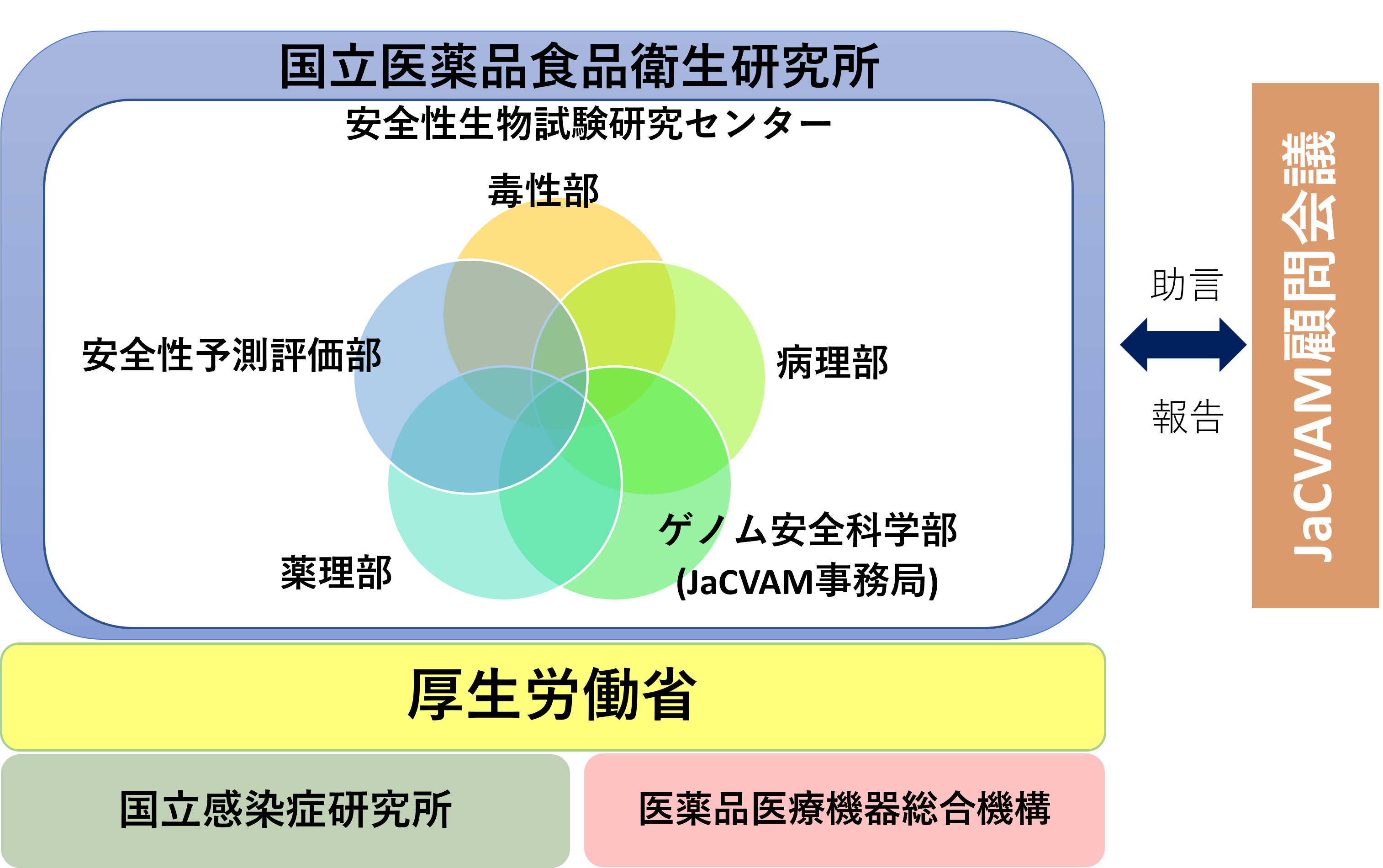 JaCVAM運営組織