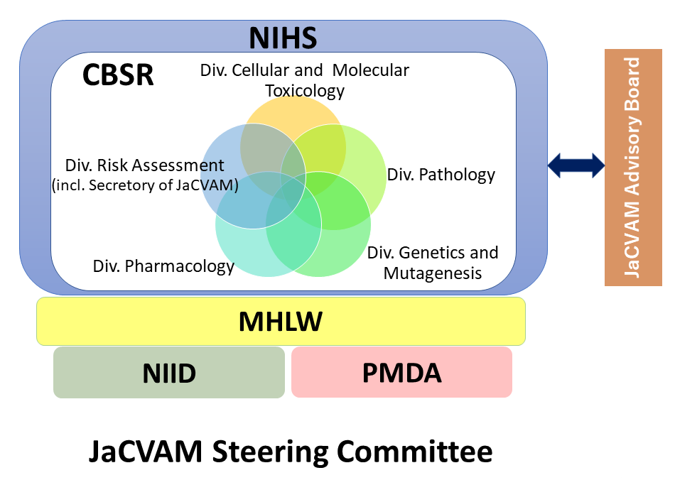 JaCVAM Steering Committee